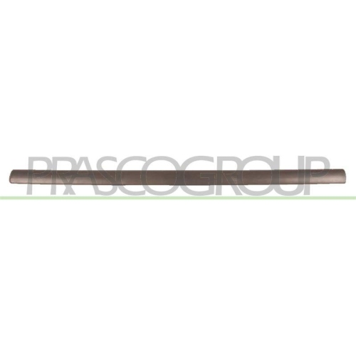 PRASCO Zier-/Schutzleiste, T&uuml;r OP0171404