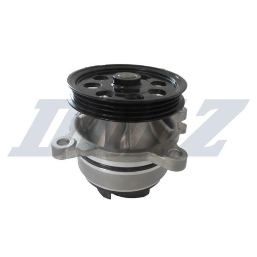 DOLZ Wasserpumpe, Motork&uuml;hlung F252