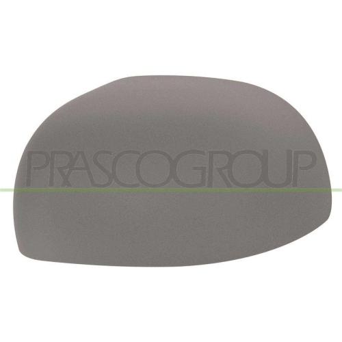 PRASCO Abdeckung, Au&szlig;enspiegel FT1237414