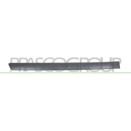 PRASCO Zier-/Schutzleiste, T&uuml;r OP0171453