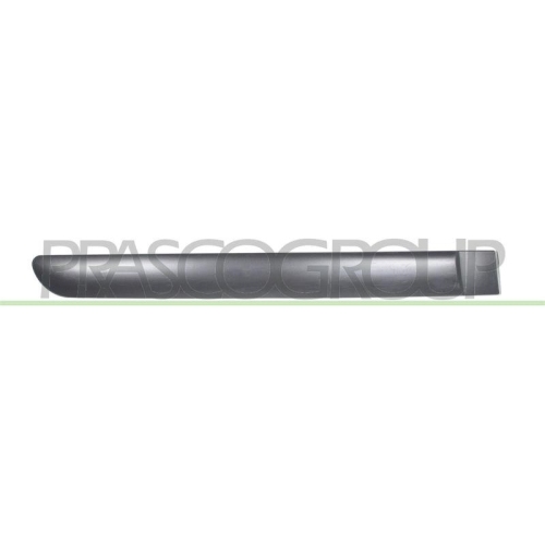 PRASCO Zier-/Schutzleiste, T&uuml;r CI3221451