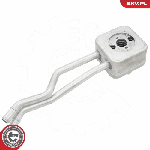ESEN SKV &Ouml;lk&uuml;hler, Motor&ouml;l 31SKV293