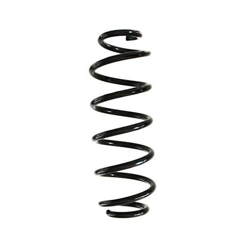 SPIDAN Fahrwerksfeder GKNW10164