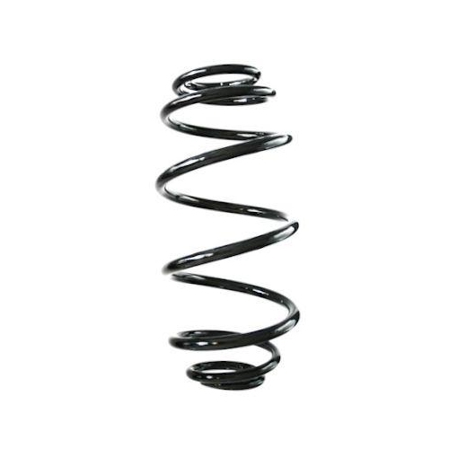 SPIDAN Fahrwerksfeder GKNW10169