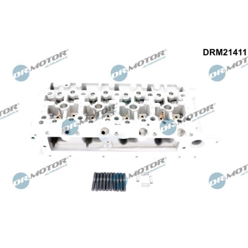 Dr.Motor Automotive Zylinderkopf DRM21411