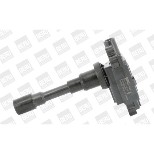 BorgWarner (BERU) Z&uuml;ndspule ZSE181