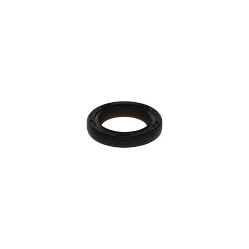 BOSCH Dichtung F 00N 203 874