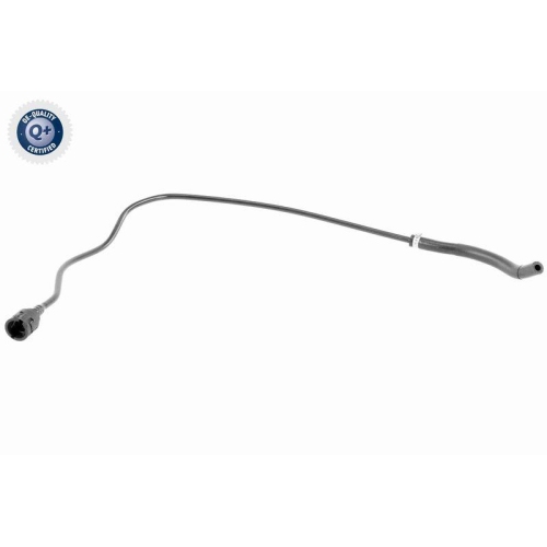 VAICO Entlüftungsschlauch, Ausgleichsbehälter Q+, Erstausrüsterqualität