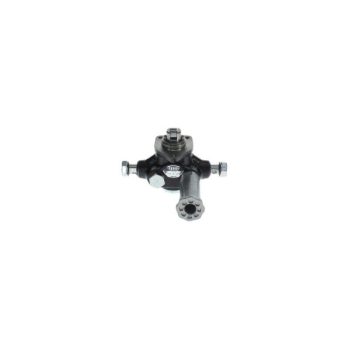 BOSCH Kraftstoffpumpe H 105 210 469