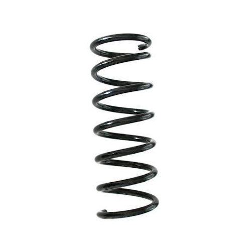 SPIDAN Fahrwerksfeder GKNW10174