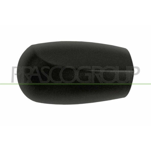 PRASCO Abdeckung, Au&szlig;enspiegel FT1337403
