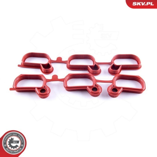 ESEN SKV Reparatursatz, Saugrohrmodul 49SKV651