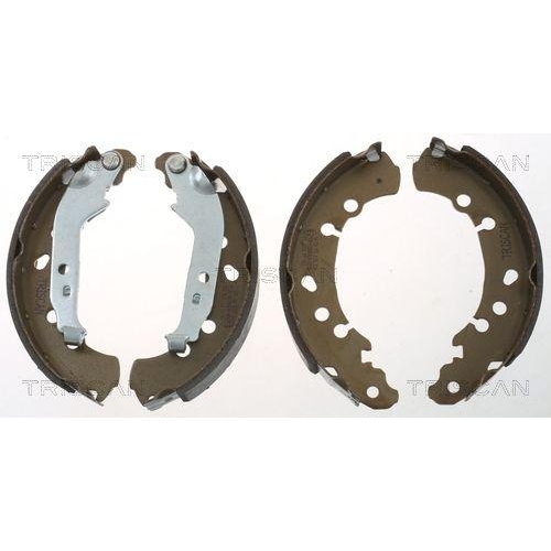 TRISCAN Bremsbackensatz 8100 13048