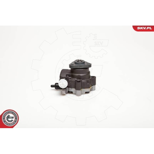 ESEN SKV Hydraulikpumpe, Lenkung