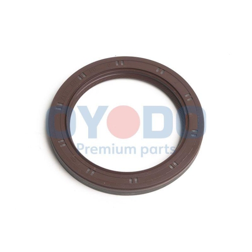 Oyodo Wellendichtring, Kurbelwelle