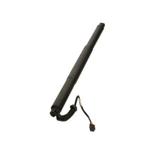 MAXGEAR Gasfeder, Einlegeboden (Koffer-/Laderaum) 12-2560