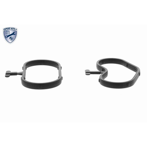 VEMO Dichtungssatz, Ölkühler EXPERT KITS + V38-60-9004