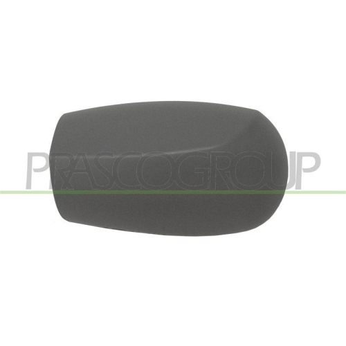 PRASCO Abdeckung, Au&szlig;enspiegel FT1337414