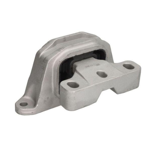 REINHOCH Lagerung, Motor RH11-0172