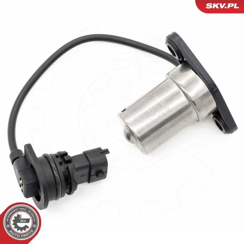 ESEN SKV Sensor, Motor&ouml;lstand 17SKV937