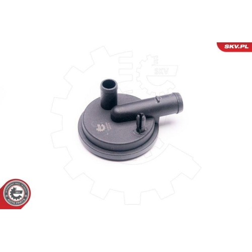 ESEN SKV Ventil, Kurbelgehäuseentlüftung