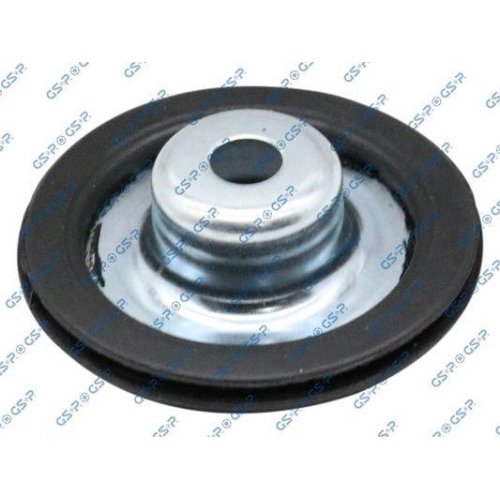 GSP Federaufnahme 510050