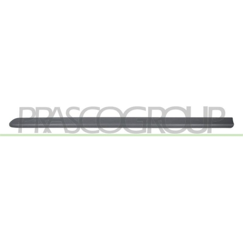 PRASCO Zier-/Schutzleiste, T&uuml;r FT9081404