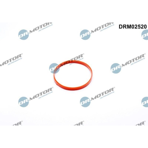 Dr.Motor Automotive Dichtung, Drosselklappenstutzen DRM02520
