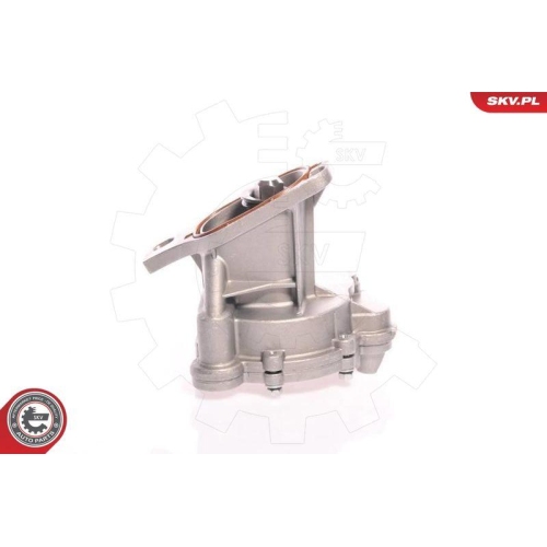 ESEN SKV Unterdruckpumpe, Bremsanlage