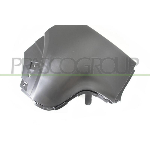 PRASCO Sto&szlig;f&auml;nger CI3301154