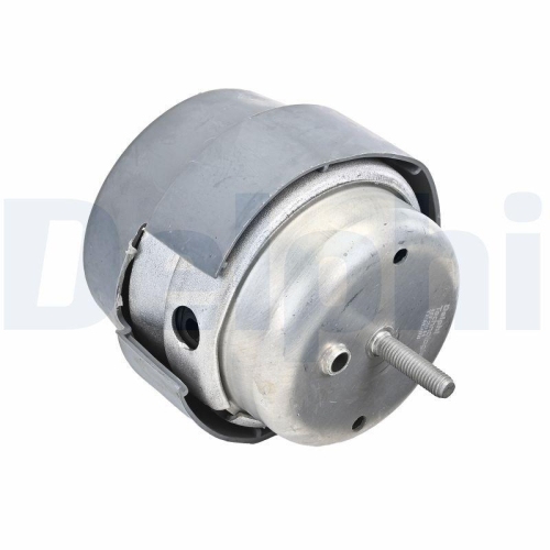 DELPHI Lagerung, Motor