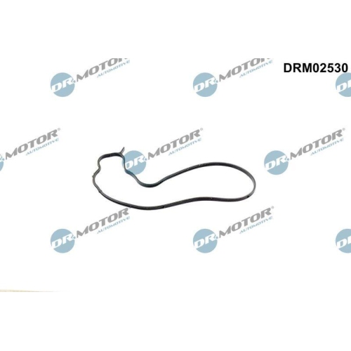 Dr.Motor Automotive Dichtung, Wasserpumpe DRM02530