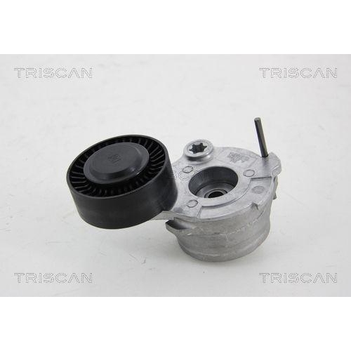 TRISCAN Riemenspanner, Keilrippenriemen 8641 293050