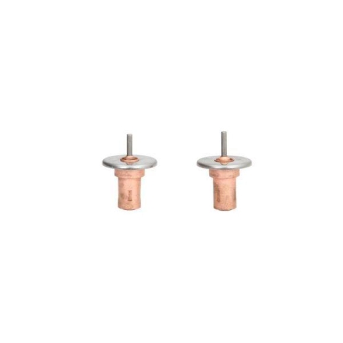 THERMOTEC Thermostat, K&uuml;hlmittel D2W001TT