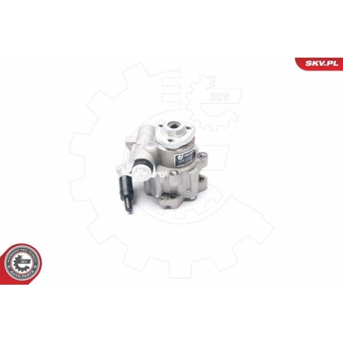 ESEN SKV Hydraulikpumpe, Lenkung