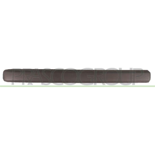 PRASCO Zier-/Schutzleiste, T&uuml;r FT9091404