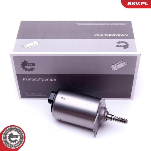 ESEN SKV Stellelement, Exzenterwelle (variabler Ventilhub) 96SKV087