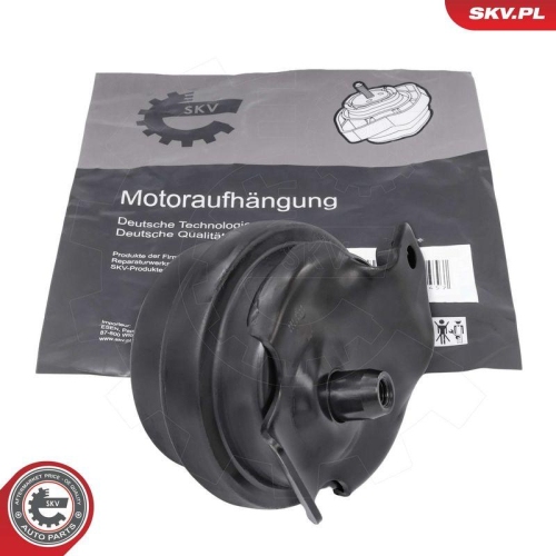 ESEN SKV Lagerung, Motor 75SKV114