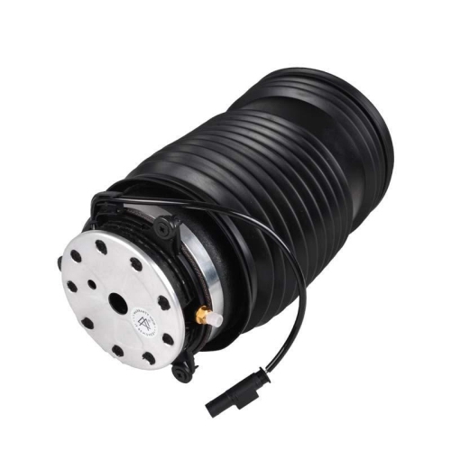 LUFTFEDER Miessler Automotive 11018-01-0125