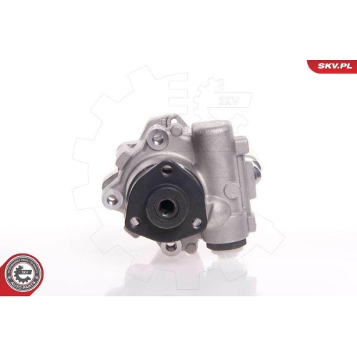 ESEN SKV Hydraulikpumpe, Lenkung