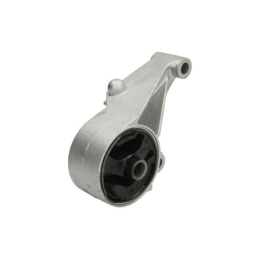 REINHOCH Lagerung, Motor RH11-5057