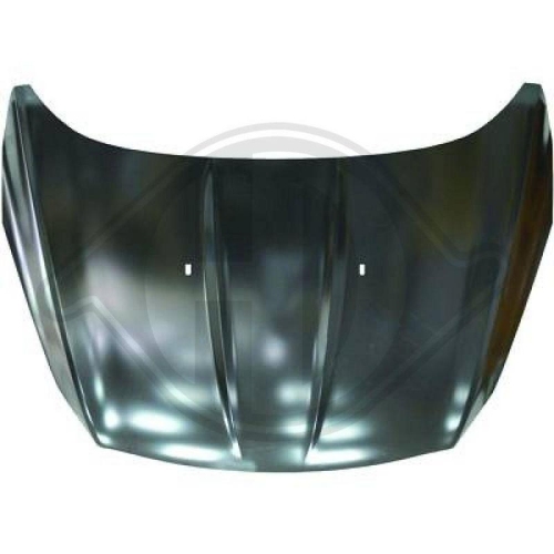 DIEDERICHS Motorhaube 1471000