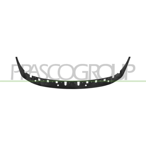 PRASCO Spoiler BM1291802