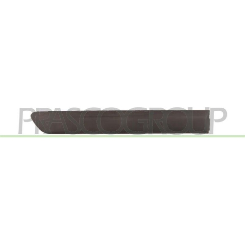 PRASCO Zier-/Schutzleiste, T&uuml;r FT9091453