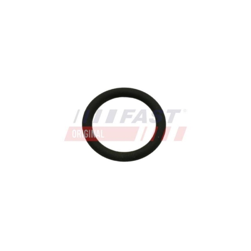 FAST Dichtung, AGR-Ventil FT50601
