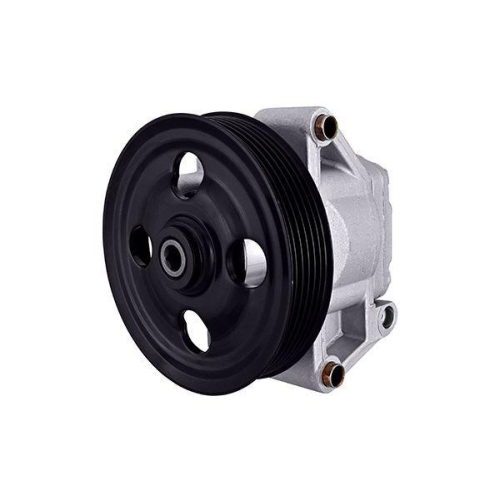 HELLA Hydraulikpumpe, Lenkung 8TL 359 003-011