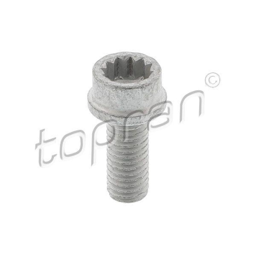 TOPRAN Riemenscheibenschraube 119 765