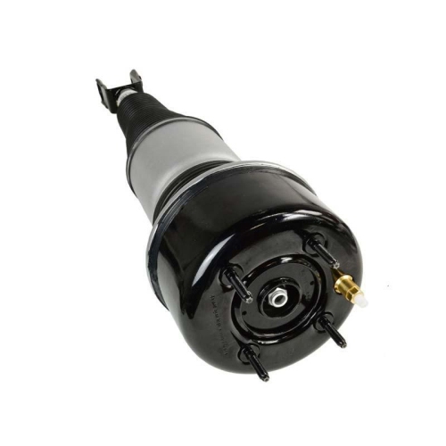 LUFTFEDERBEIN Miessler Automotive 1244-01-1349