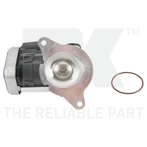 NK AGR-Ventil 4533005