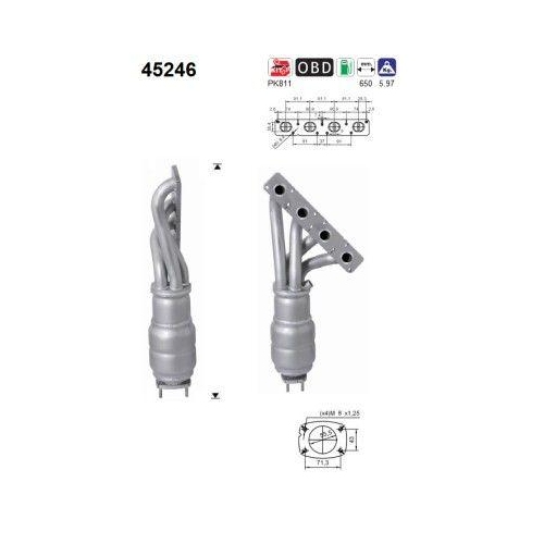 AS Katalysator 45246